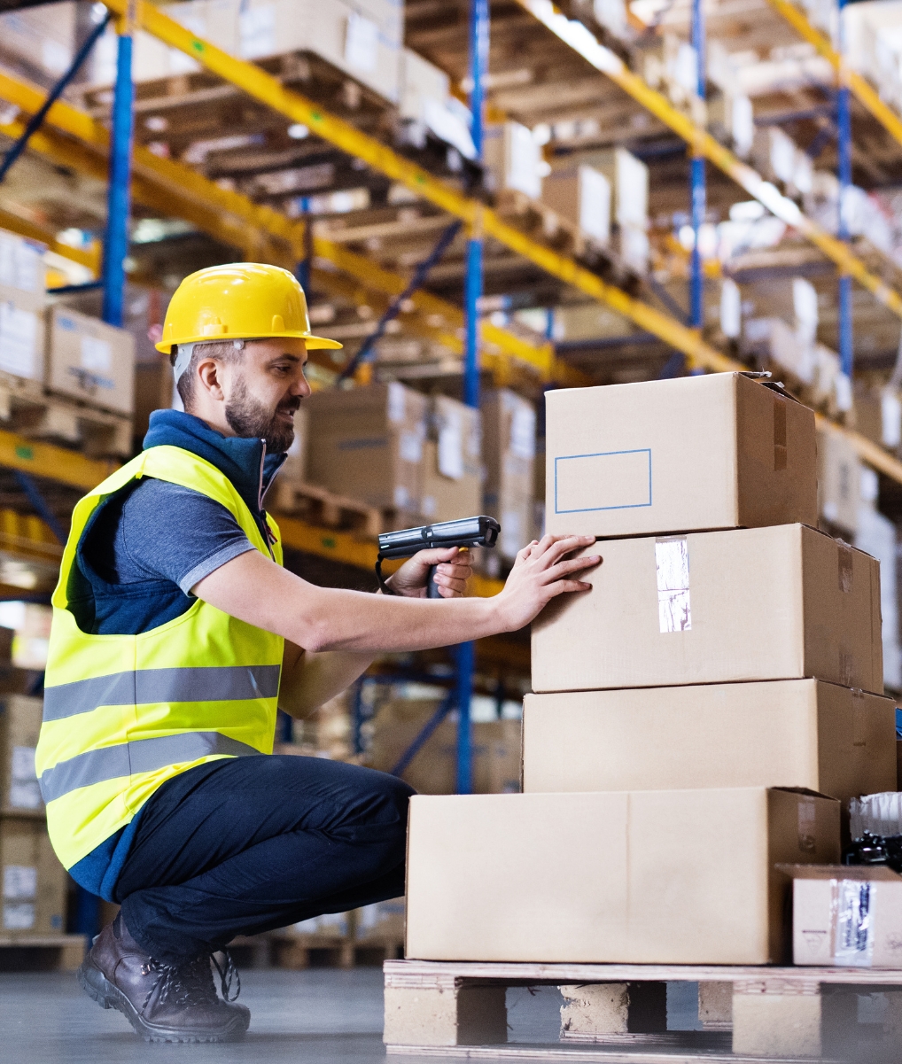 Pre-Shipping Metaport