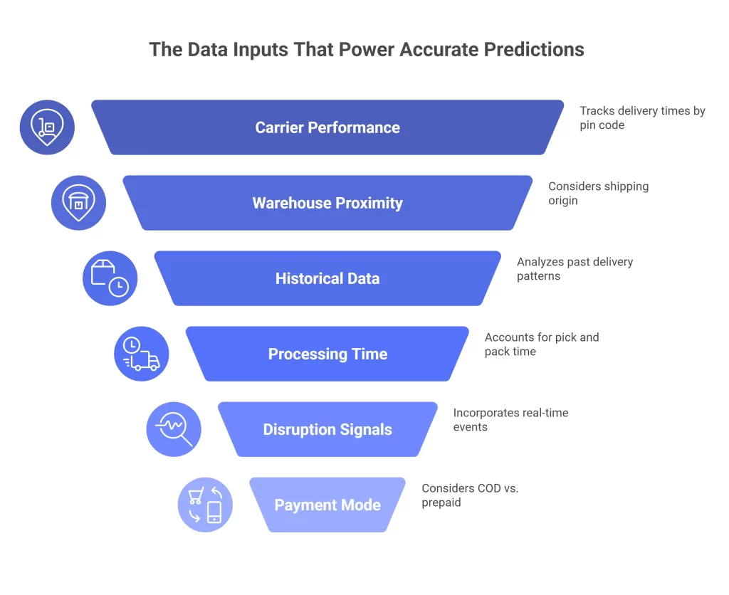 The Data Inputs That Power Accurate Predictions